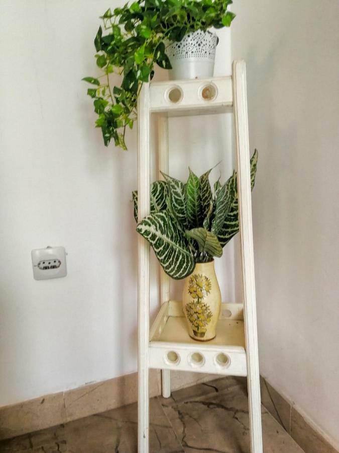 Apartman Damir サマティン エクステリア 写真